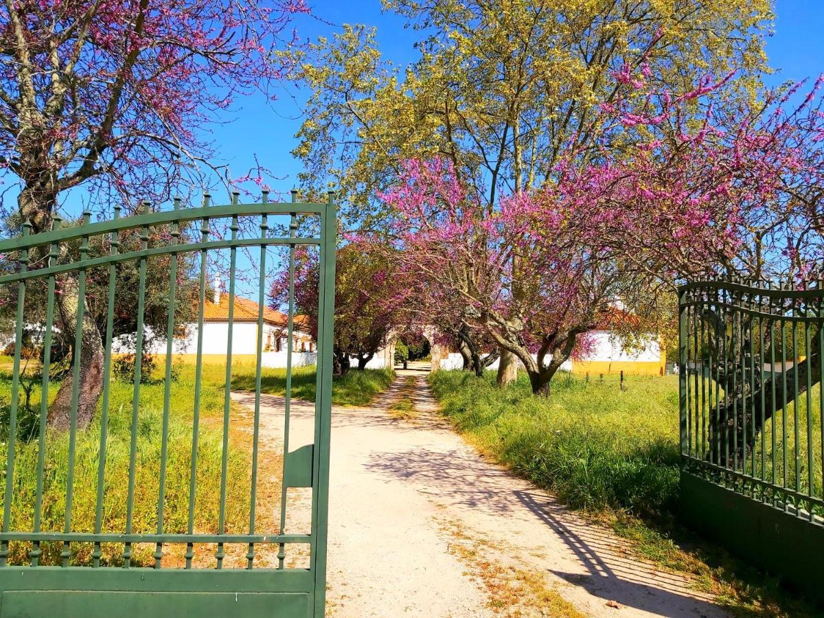 Gasthaus Casas Herdade Do Convento Da Serra Almeirim Exterior foto