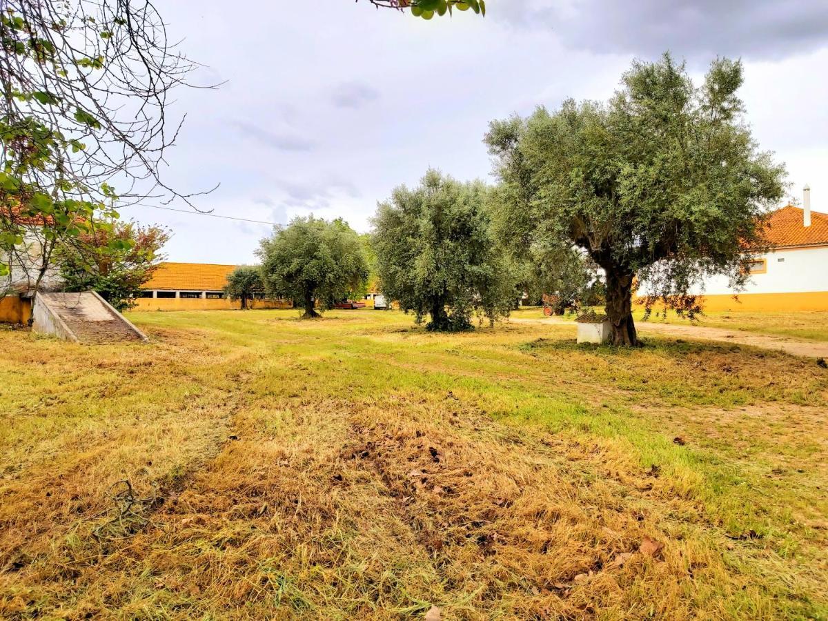 Gasthaus Casas Herdade Do Convento Da Serra Almeirim Exterior foto