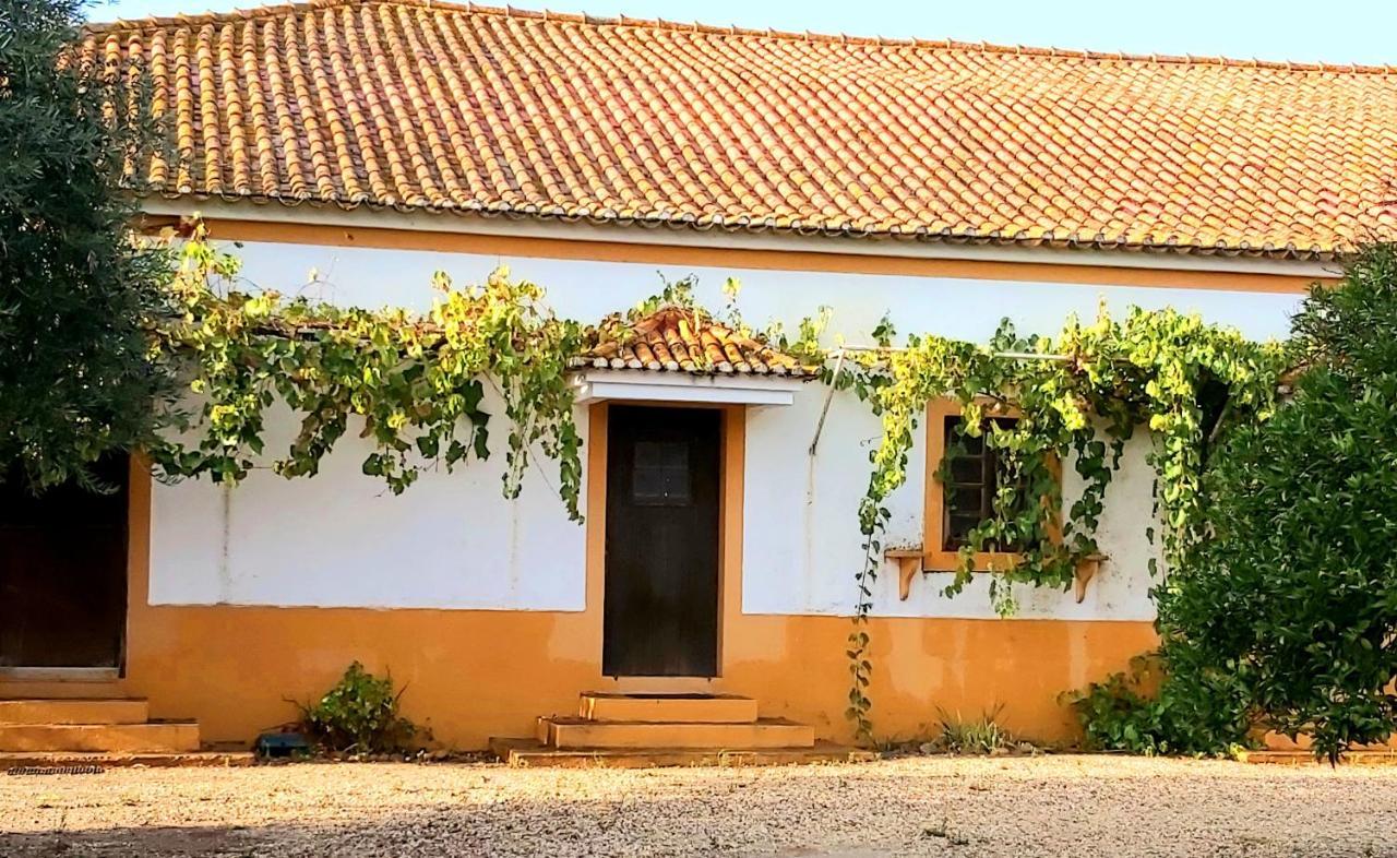 Gasthaus Casas Herdade Do Convento Da Serra Almeirim Exterior foto