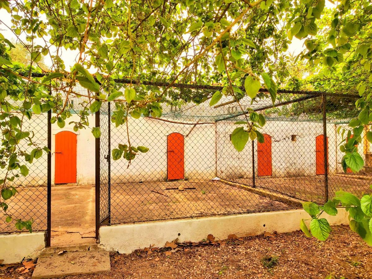 Gasthaus Casas Herdade Do Convento Da Serra Almeirim Exterior foto