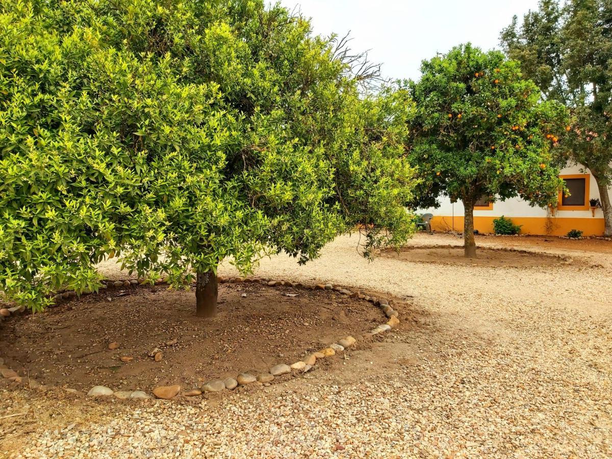 Casas Herdade Do Convento Da Serra Almeirim Exterior foto