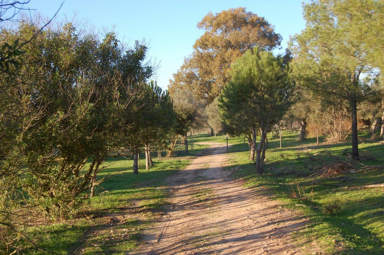 Gasthaus Casas Herdade Do Convento Da Serra Almeirim Exterior foto